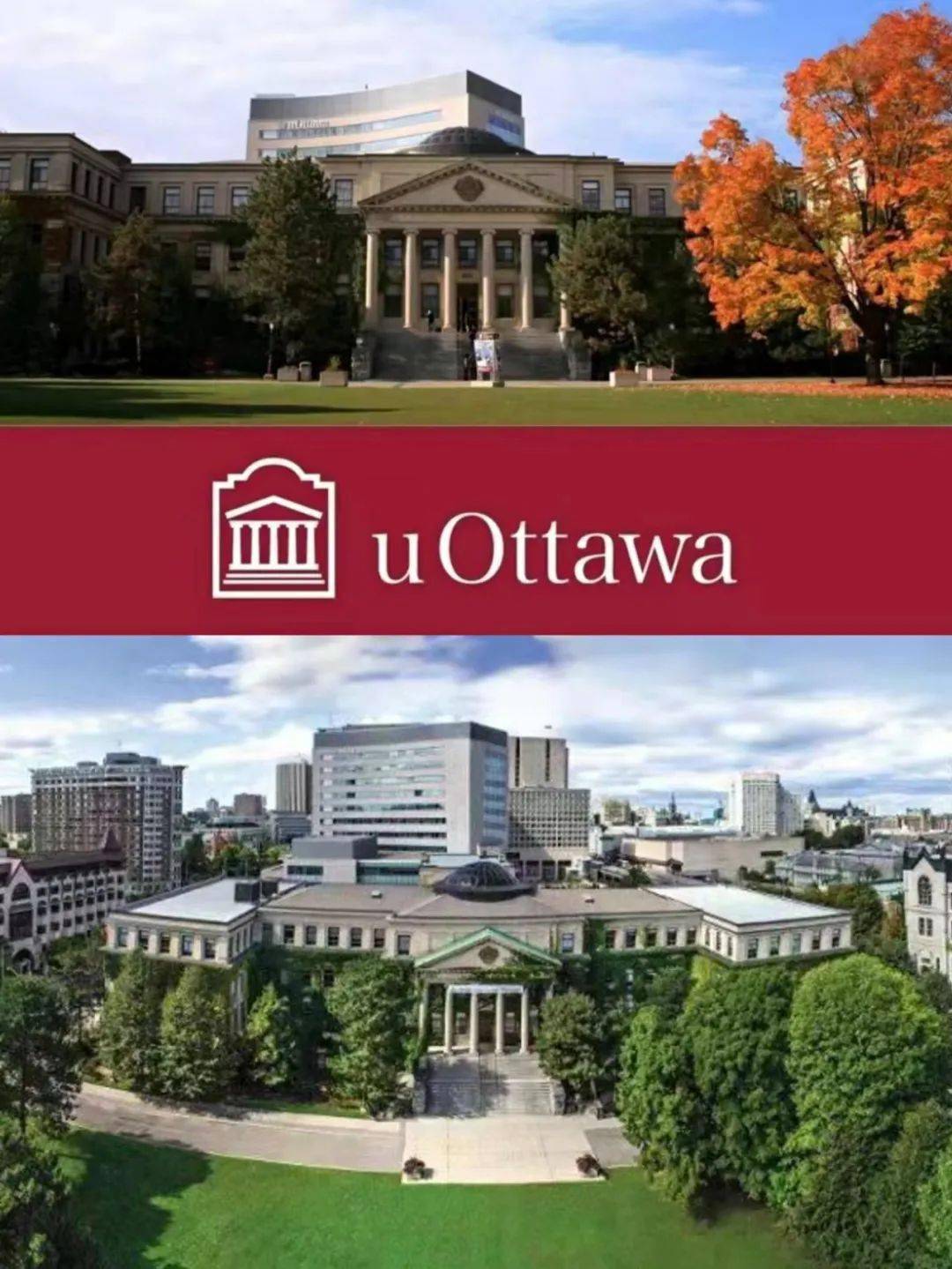 渥太华大学offer图片图片