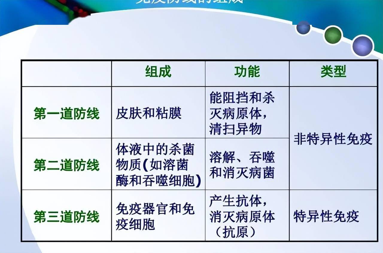 第三道防線主要由免疫器官和免疫細胞藉助血液循環和淋巴循環而組成的