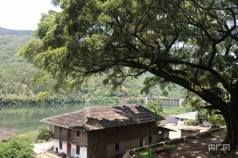 掩映在青翠群山中的福州永泰縣大喜村,湖景獨具特色(央廣網記者 童正