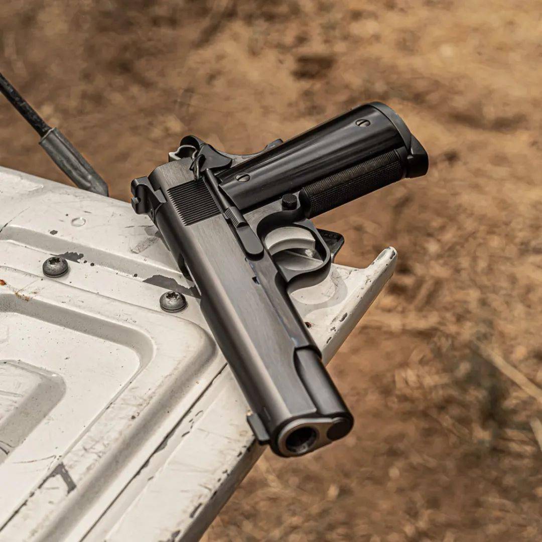 alchemy1911美图稳重优雅憨厚随你怎么说