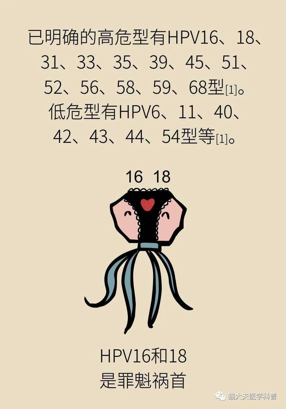 hpv阳性就是得了宫颈癌