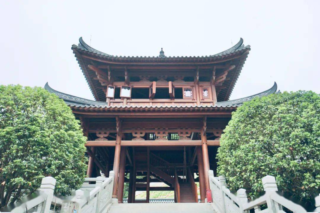 梧州流量王三总府邀创logoip宣传口号一等奖8000元