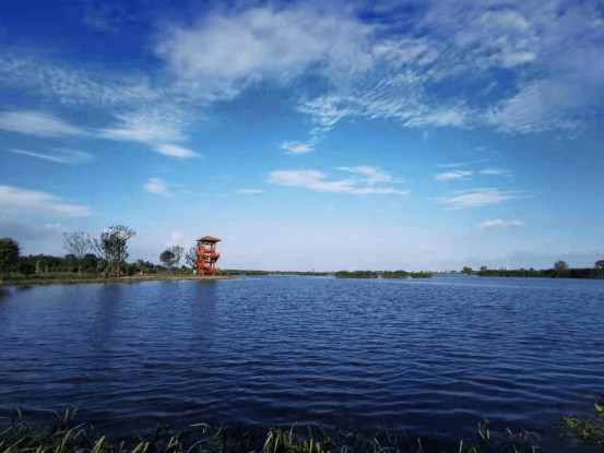 石龙湖湿地公园图片