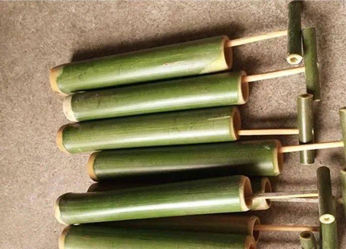 儿时玩水节子的快乐时光_竹筒_水枪_老虎