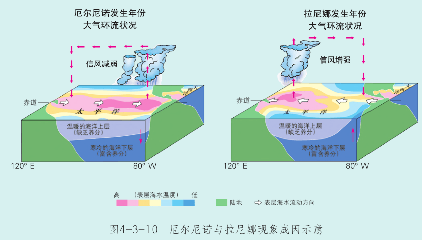 厄尔尼诺和拉尼娜图片