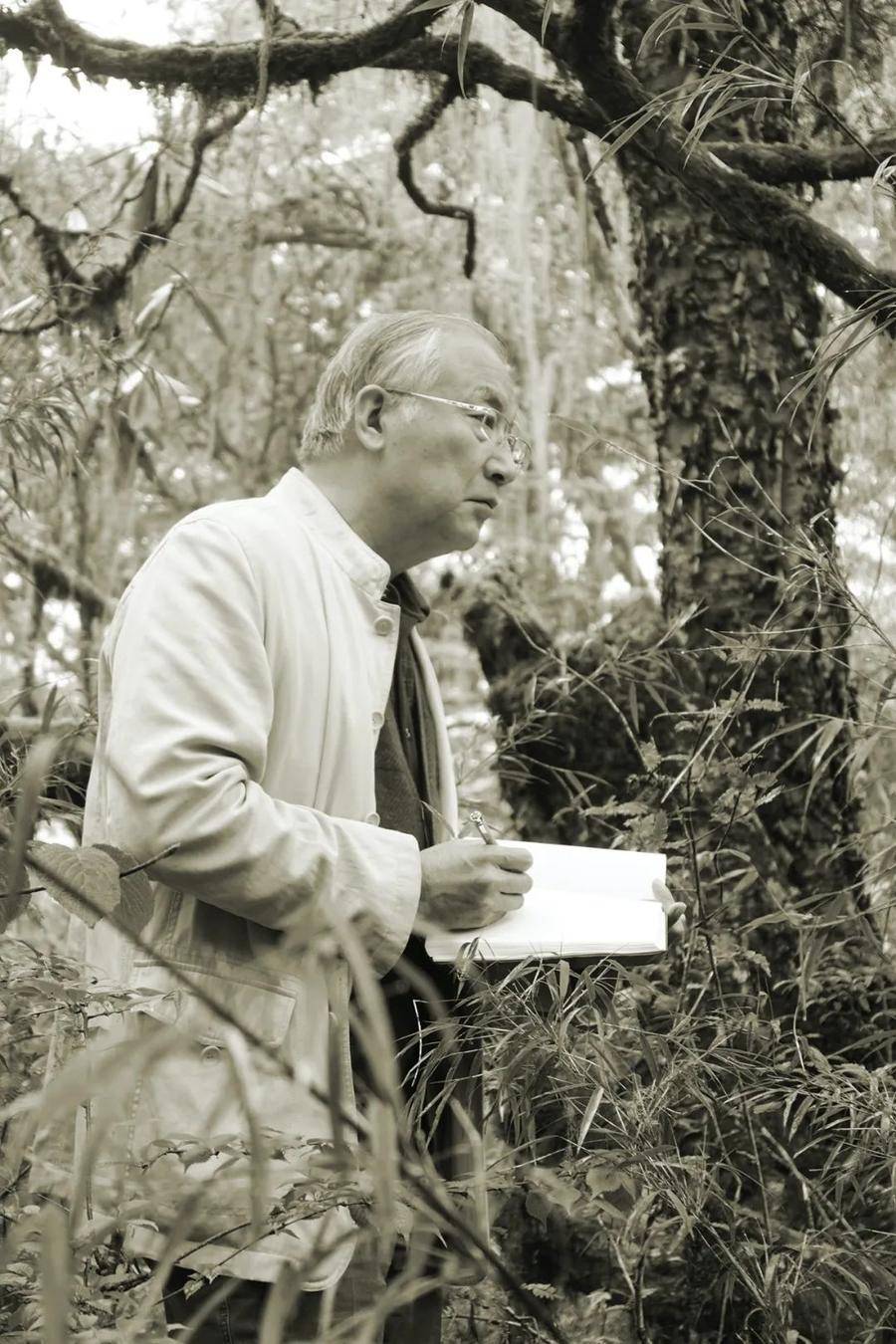 名家沈光伟高山杜鹃创作谈