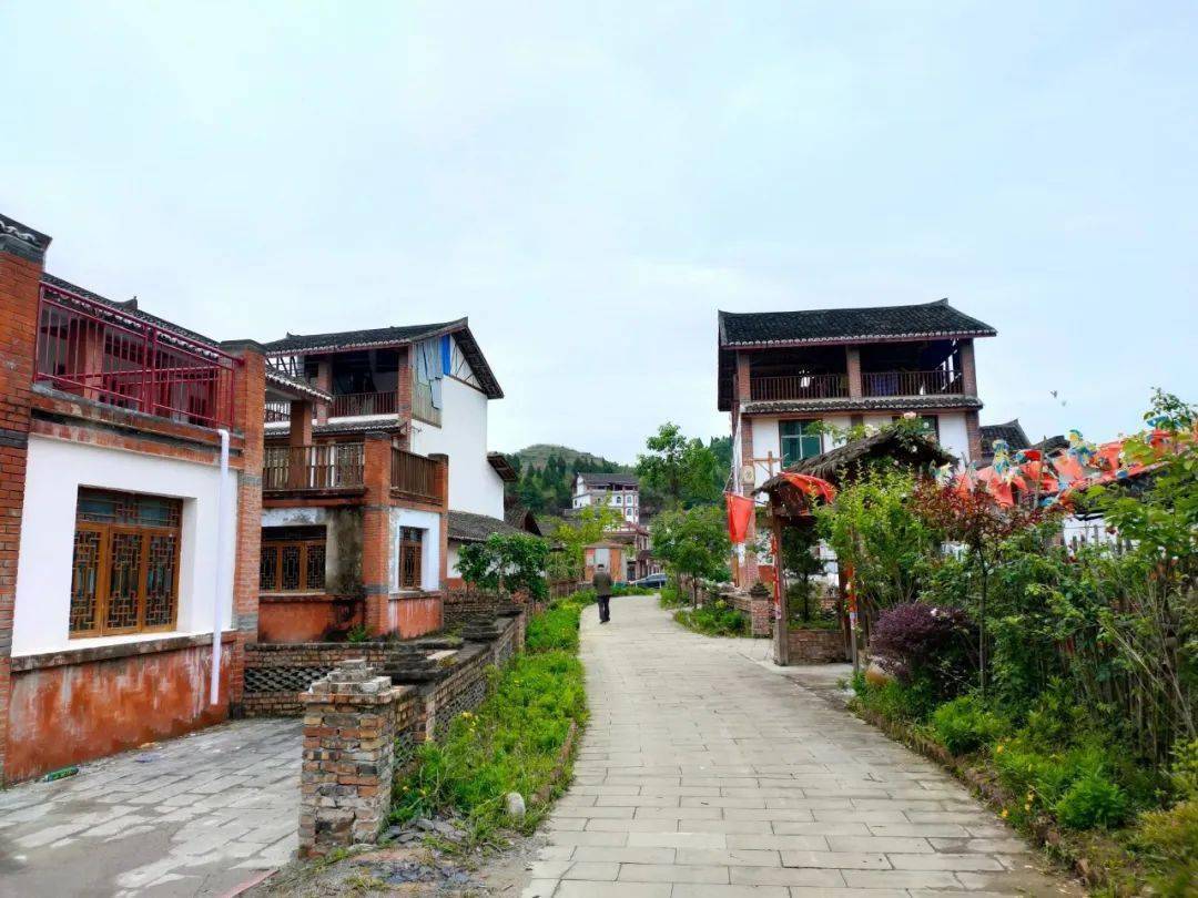 去南充高坪元宝山村看看新农村品尝农家乐