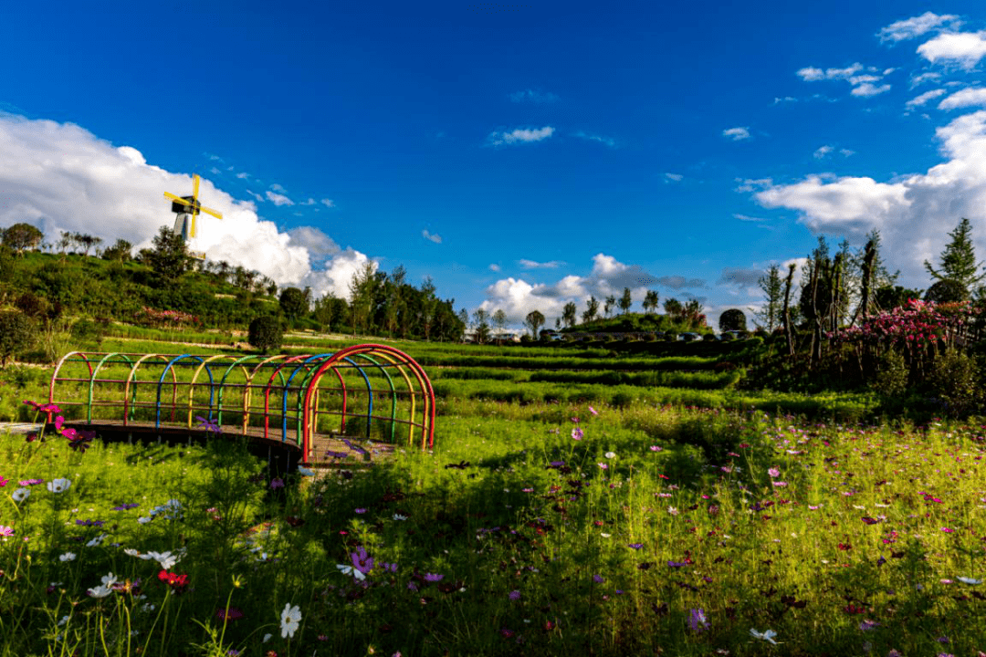 五一好去处安逸游达川小长假不躺平家门口乡村游乐动起来