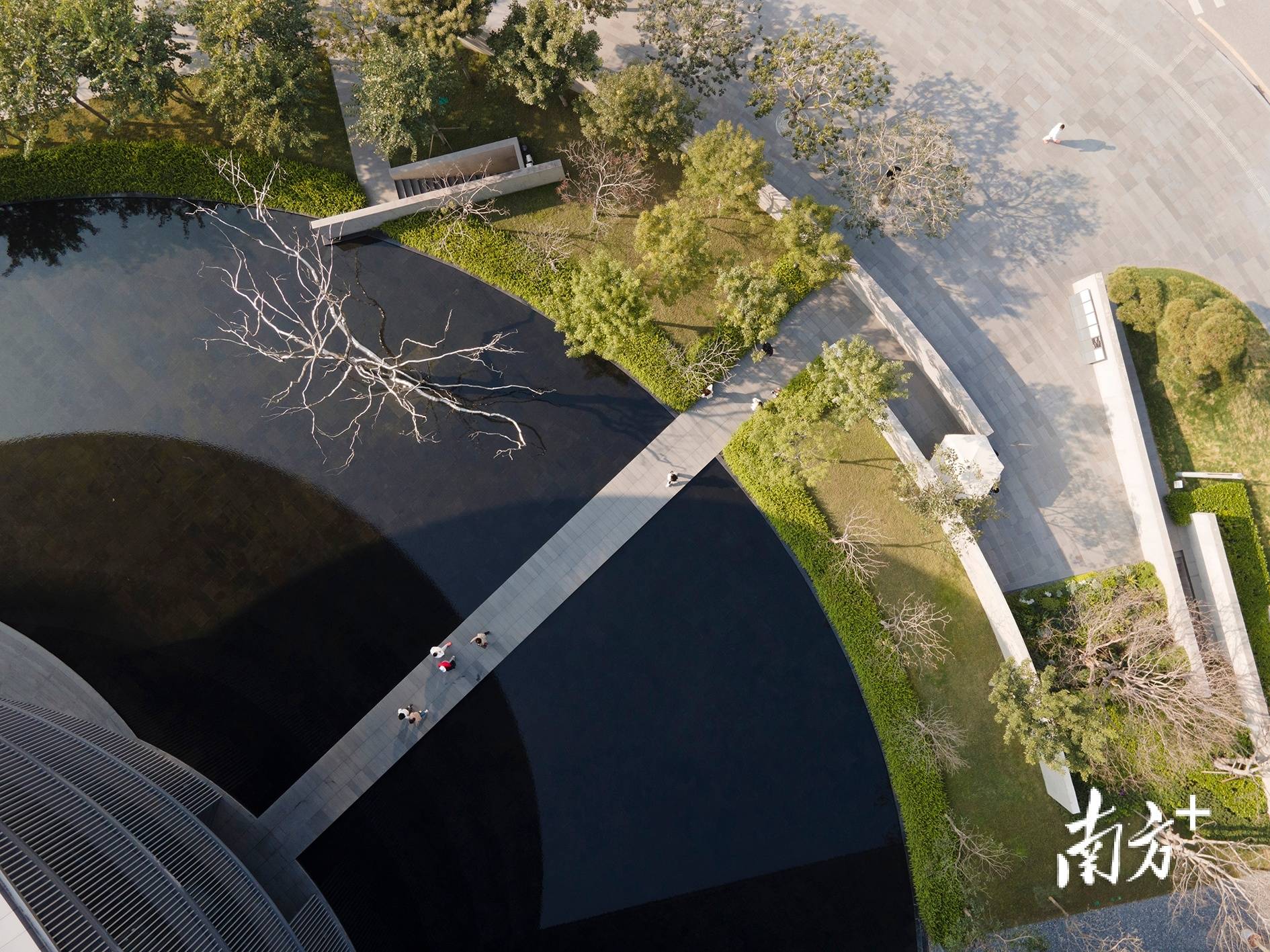 广东十大宝藏建筑顺德和美术馆