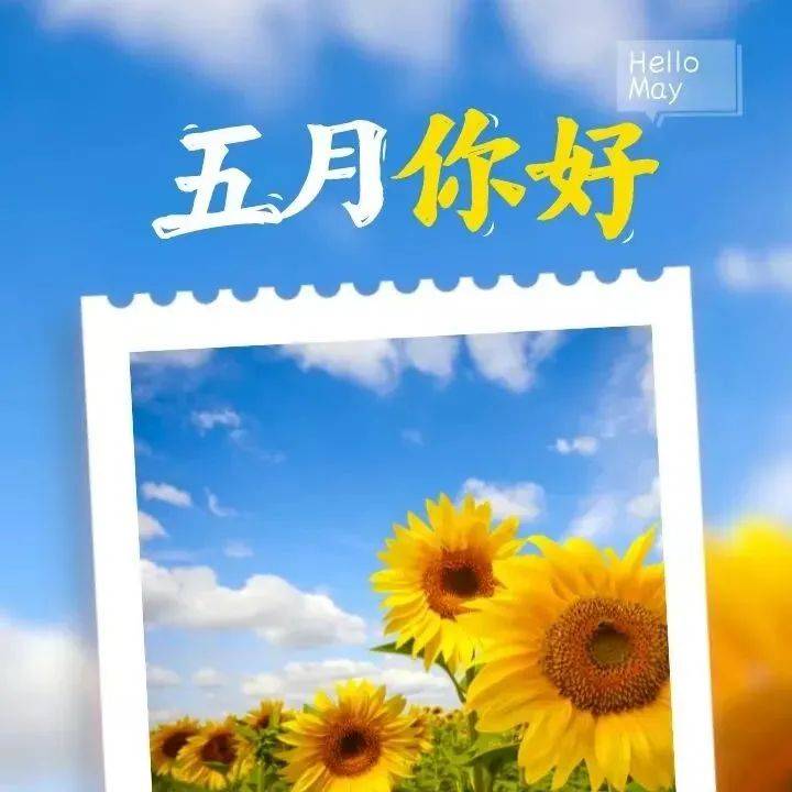 五月,最美一段话_岁月_生活_束光