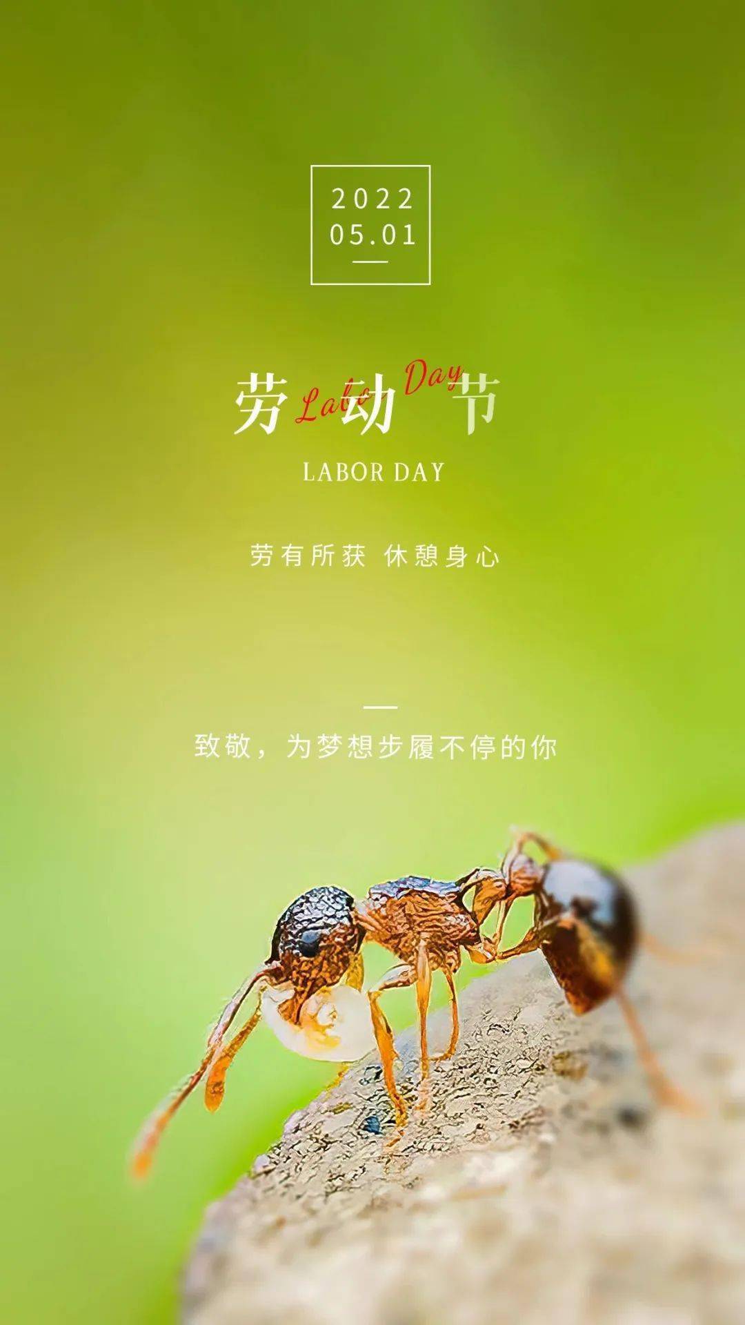 5月1号早安 | 劳动节快乐_一个人_才会_人生