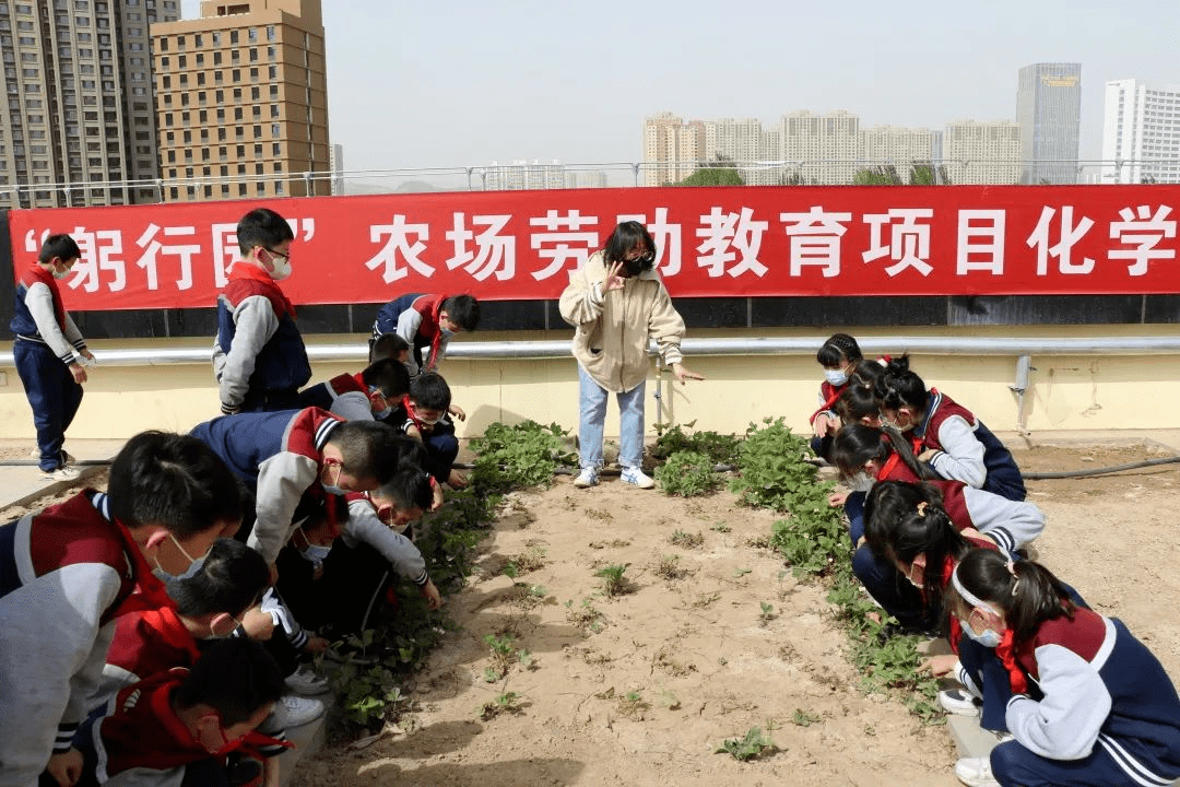 學生在教師的指導下,認領班級