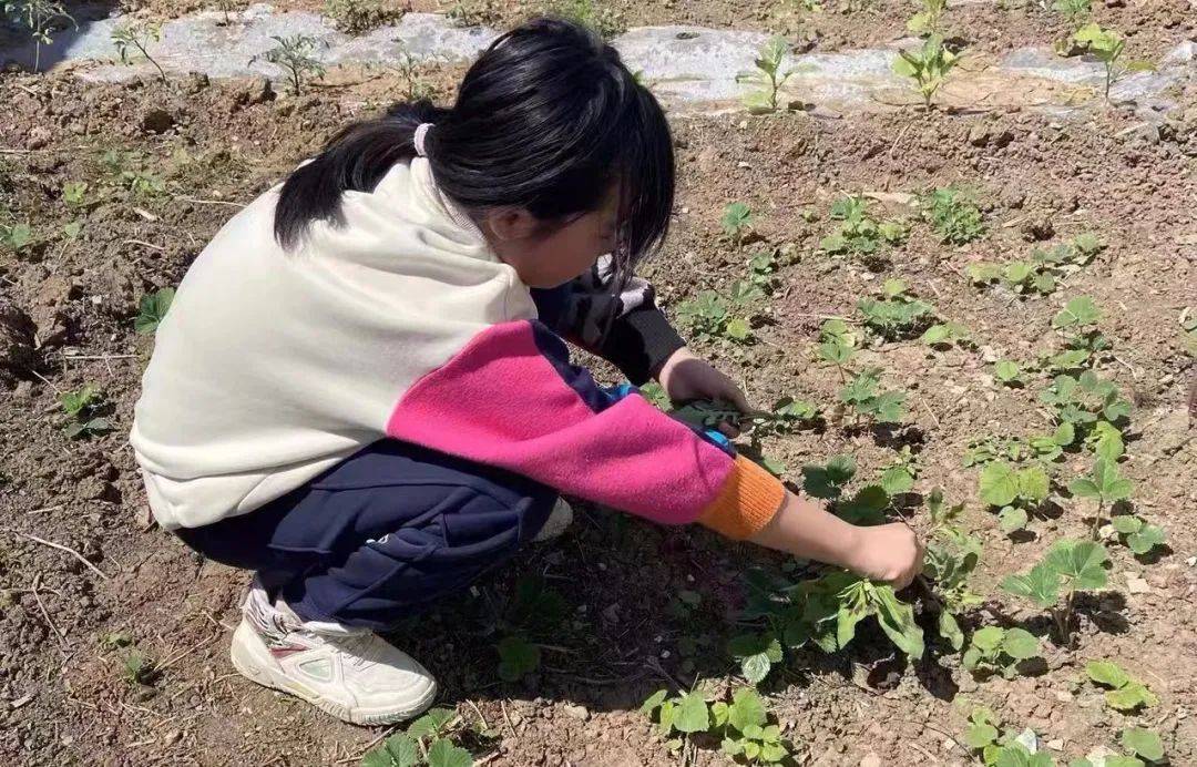 精彩活動,讓學生