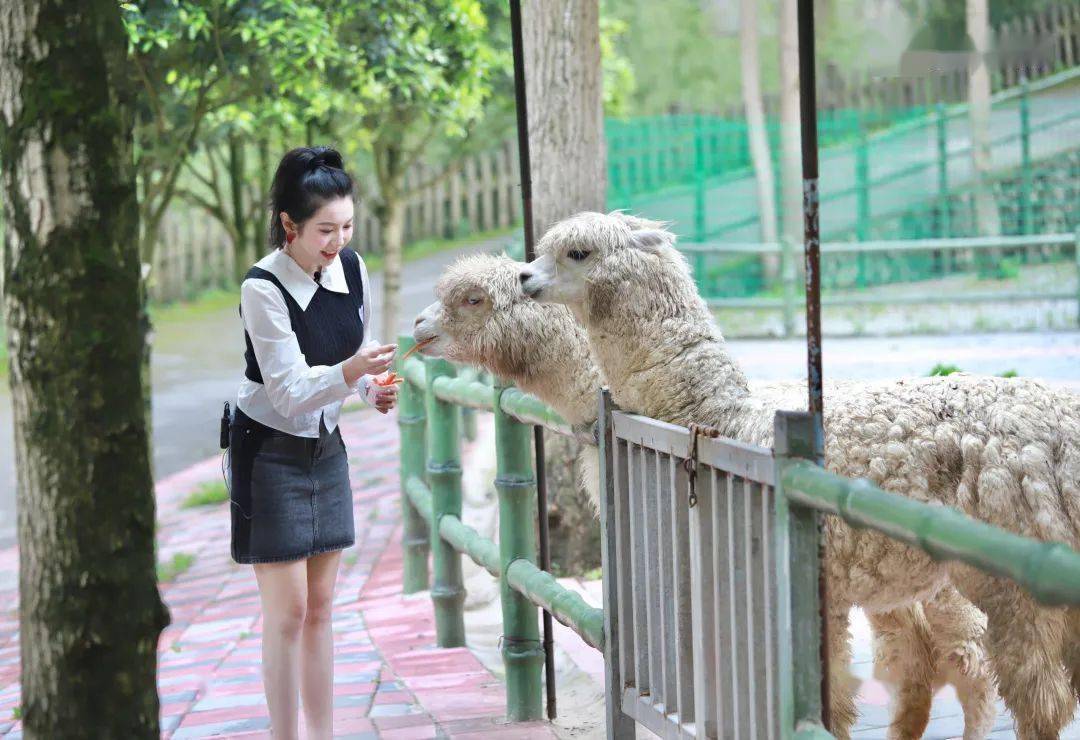 萌兽上线_互动_动物园_祝宇