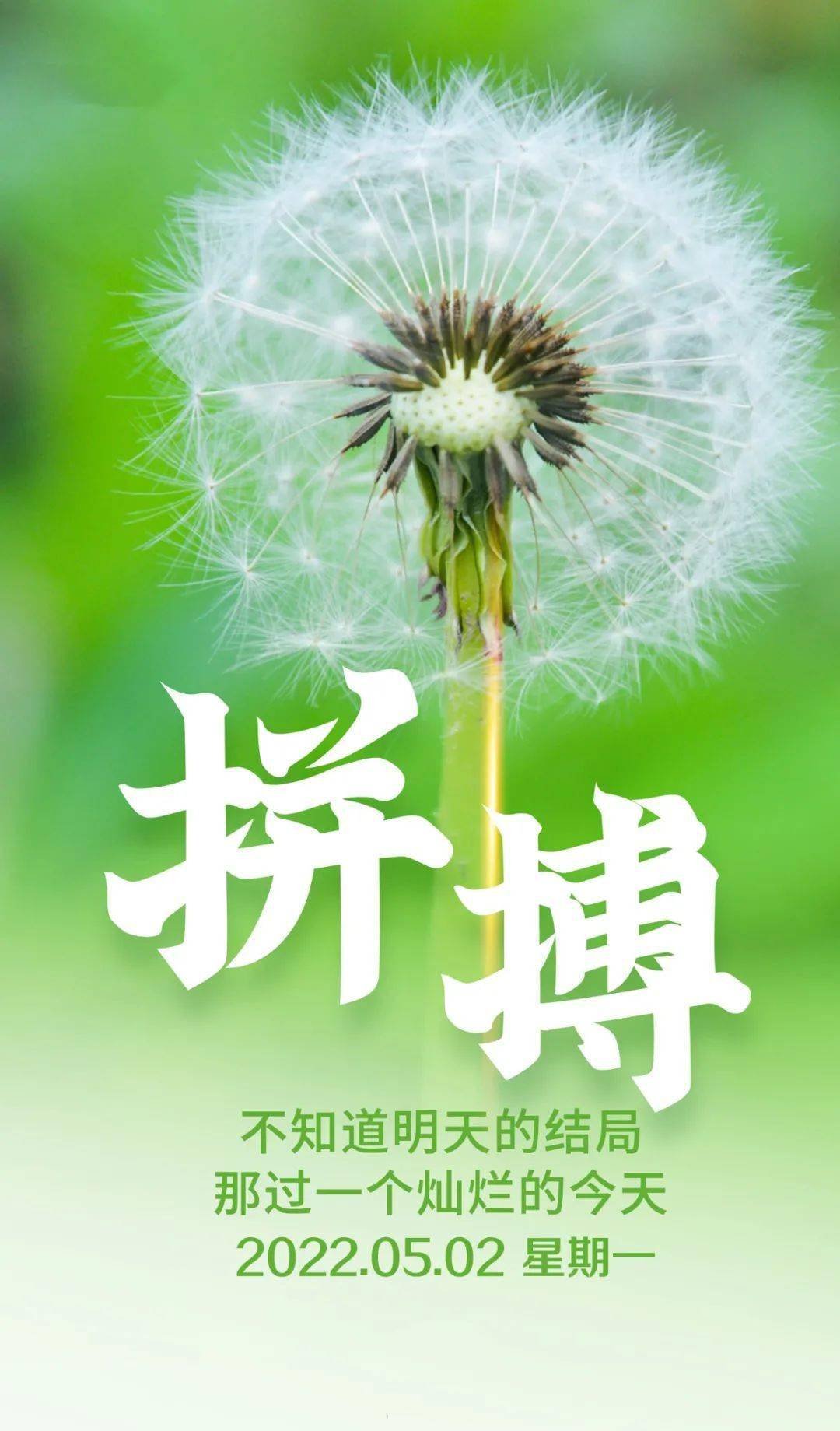 5月2日早安正能量努力赚钱文案语录 奋斗不止的早上好正能量经典语录