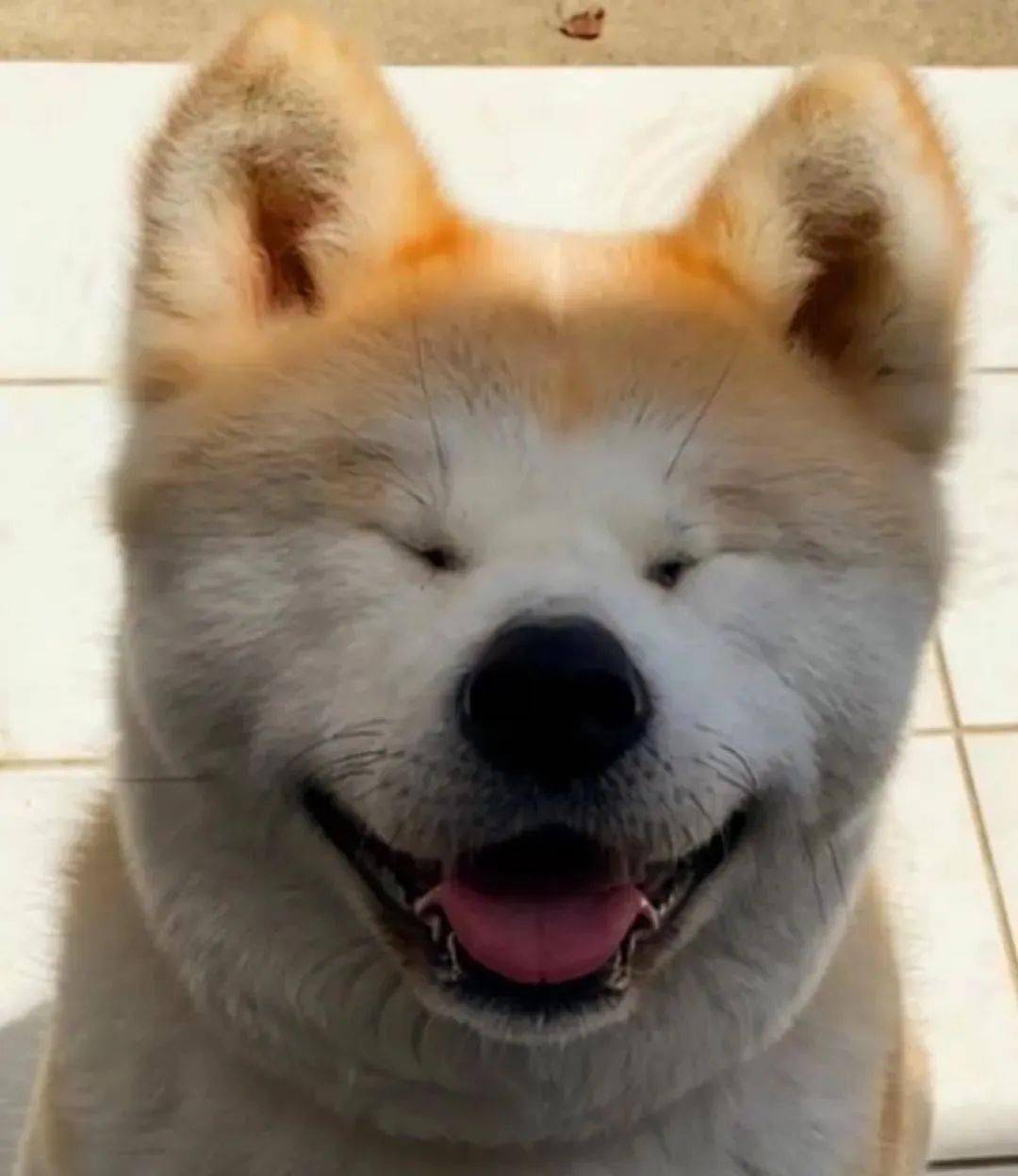 搞笑| "男生为了脱单能有多拼??"哈哈哈哈哈真的服了..._be_鉴赏_伤害