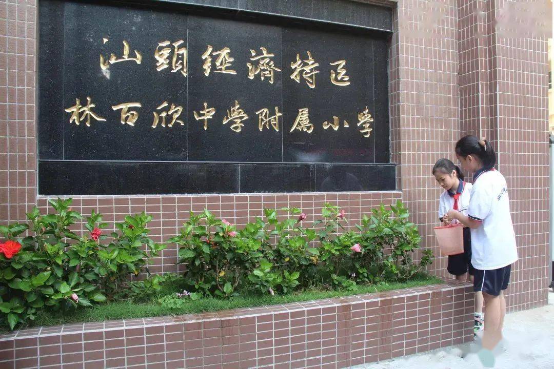 我劳动我快乐龙湖区各学校五一国际劳动节系列主题活动丰富多彩