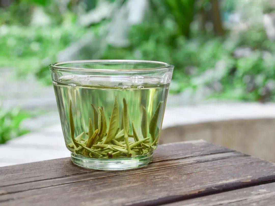 我们探访了5大茶山让你足不出户一次喝遍5款明前茶