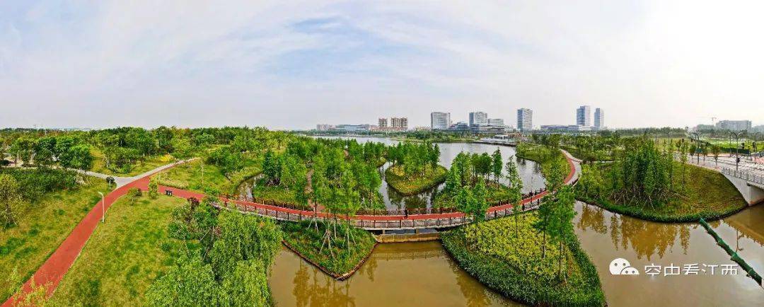 这里是赣江新区的绿肺风景秀美如画