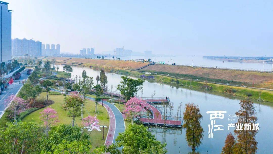 家门口的"普罗旺斯",就在高明这个位置→_西江_公园_湿地