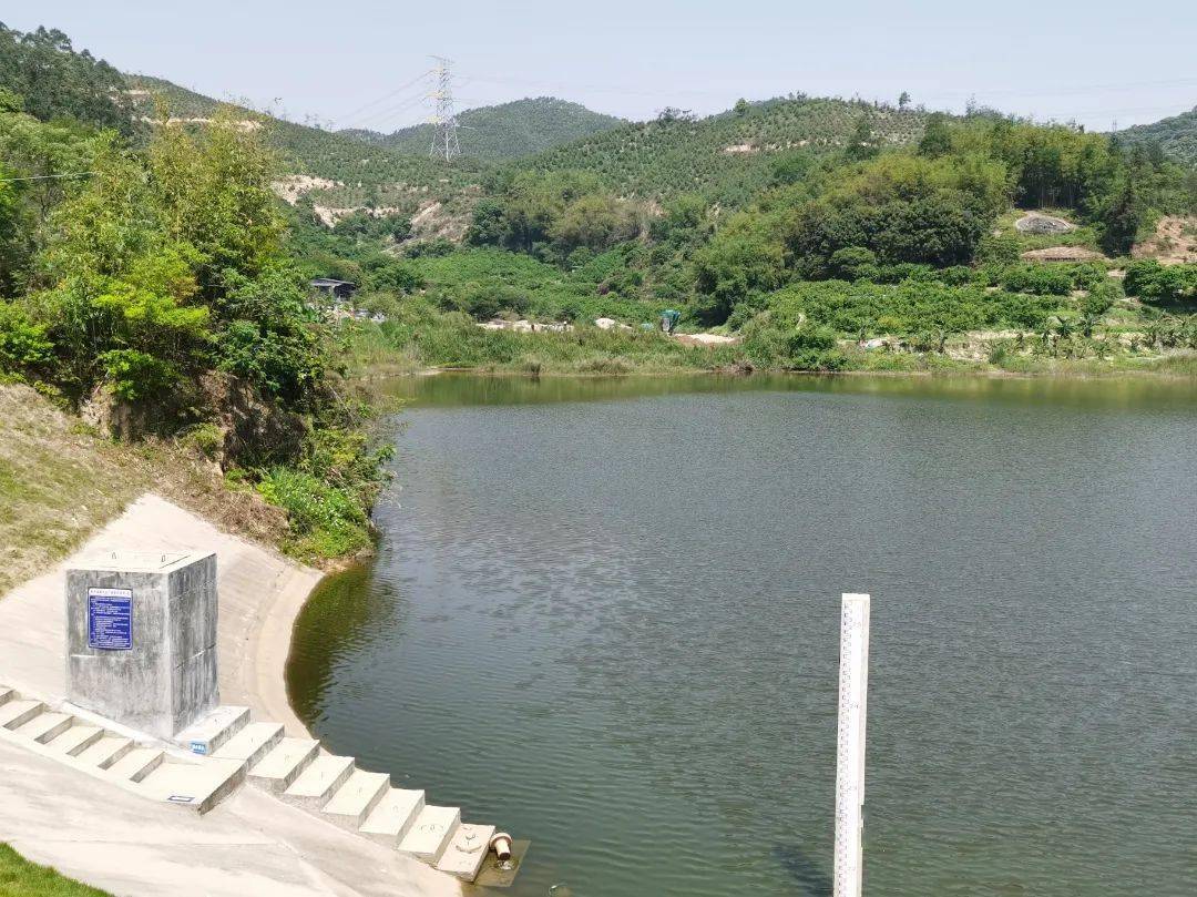 拆荔城街棠厦村