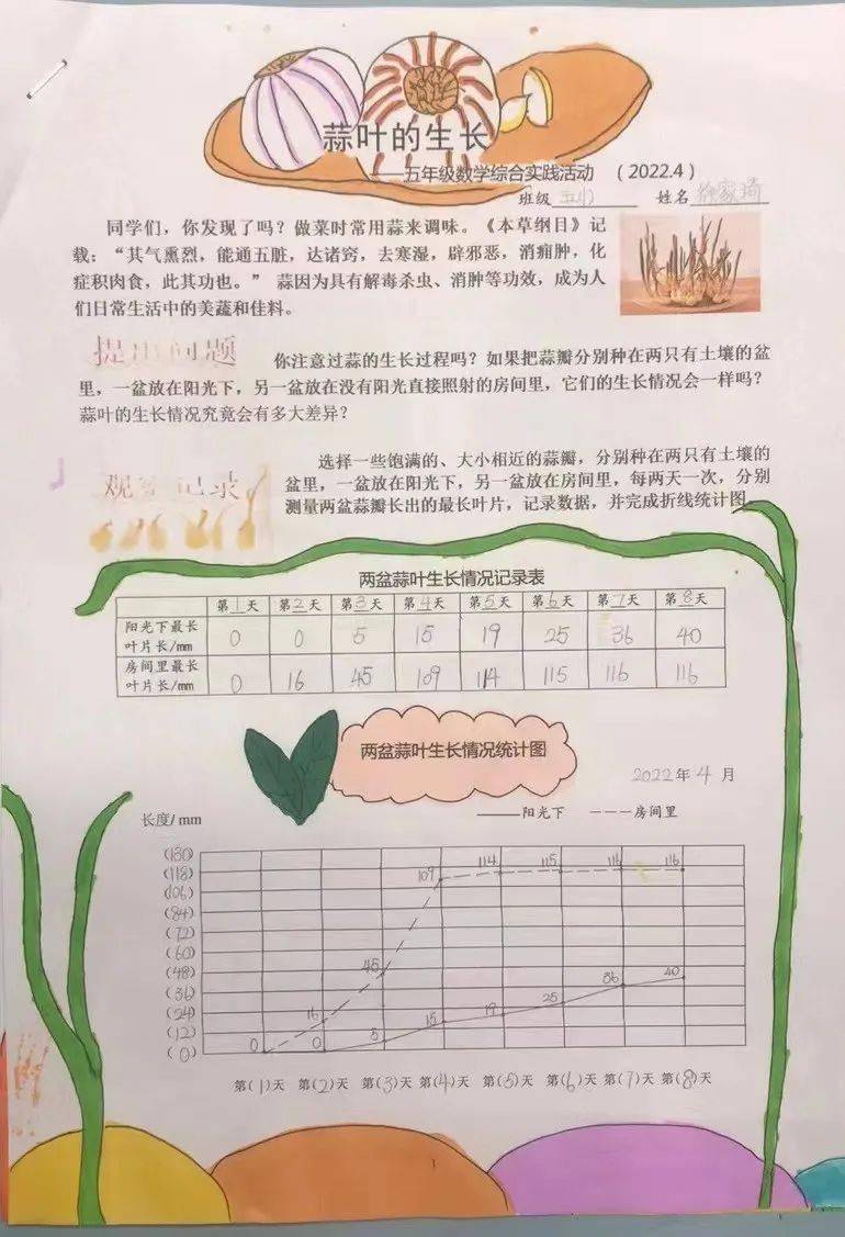 我运用到了折线统计图这一数学知识,它可以更直观地反映出蒜叶的生长