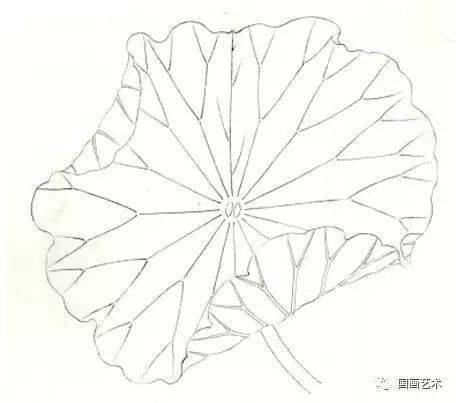 图文教程:工笔荷叶的各种画法!