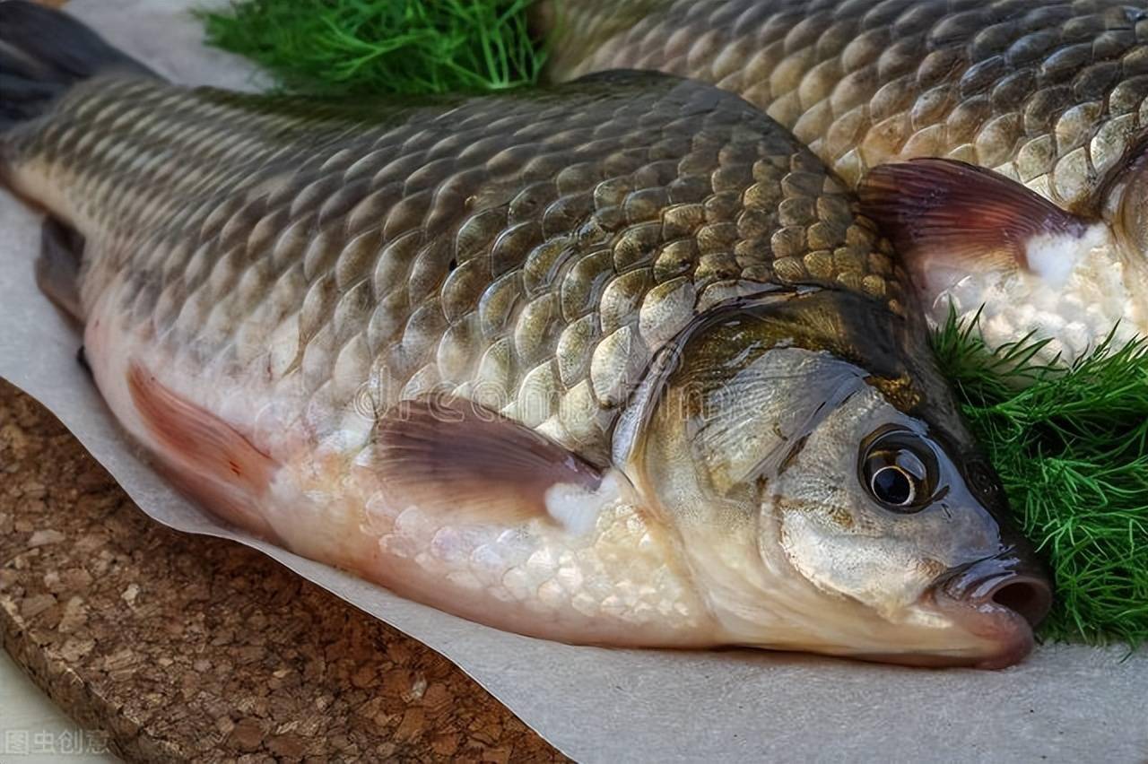 做法:一条半斤以上的活鲫鱼,绿茶100克.材料