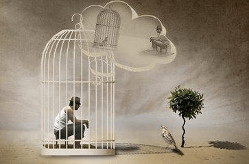 来源:网络有人喜欢鸟,便把鸟儿常年关在笼子里圈养,并且还觉得是自己