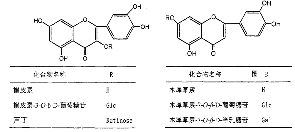 【干货】金银花抗菌防疫功效