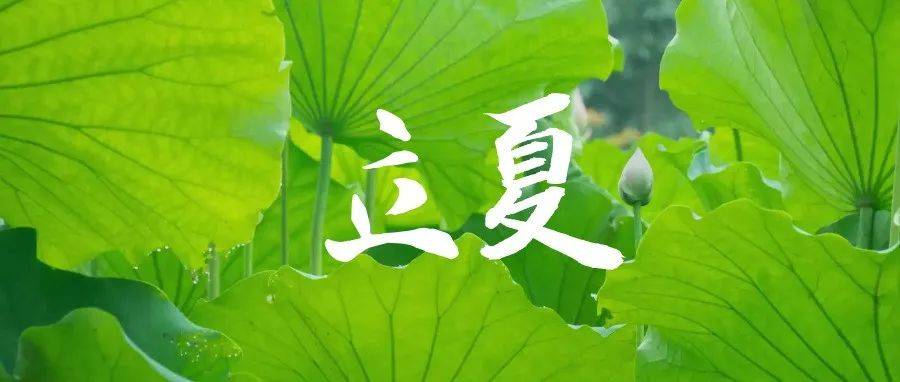 立夏 | 四时天气促相催,一夜薰风带暑来_海淀_食物_万物