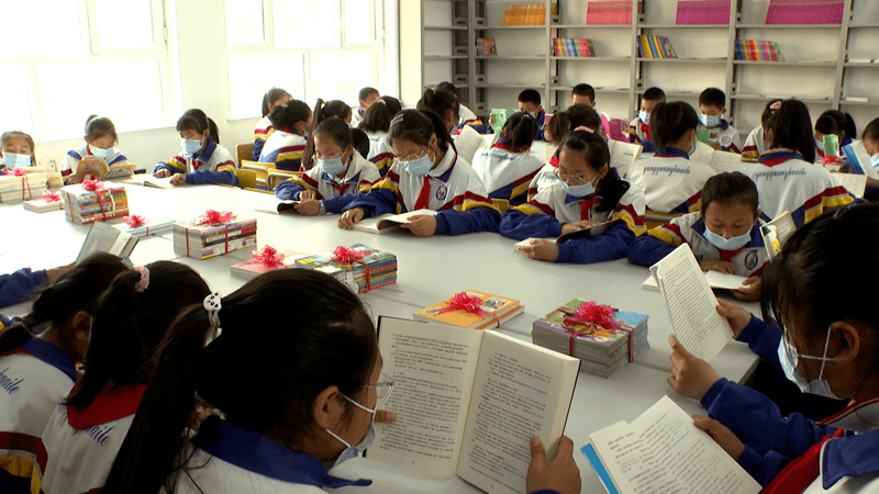 关爱留守儿童鸿基金爱的图书馆在临泽县滨河小学落户