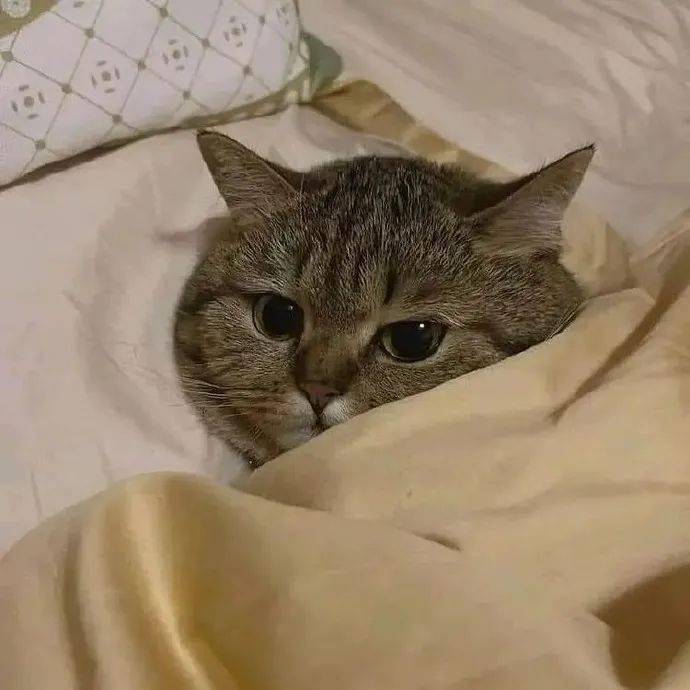 抖音切方块游戏_抖音切方块是什么游戏_抖音方块游戏叫什么