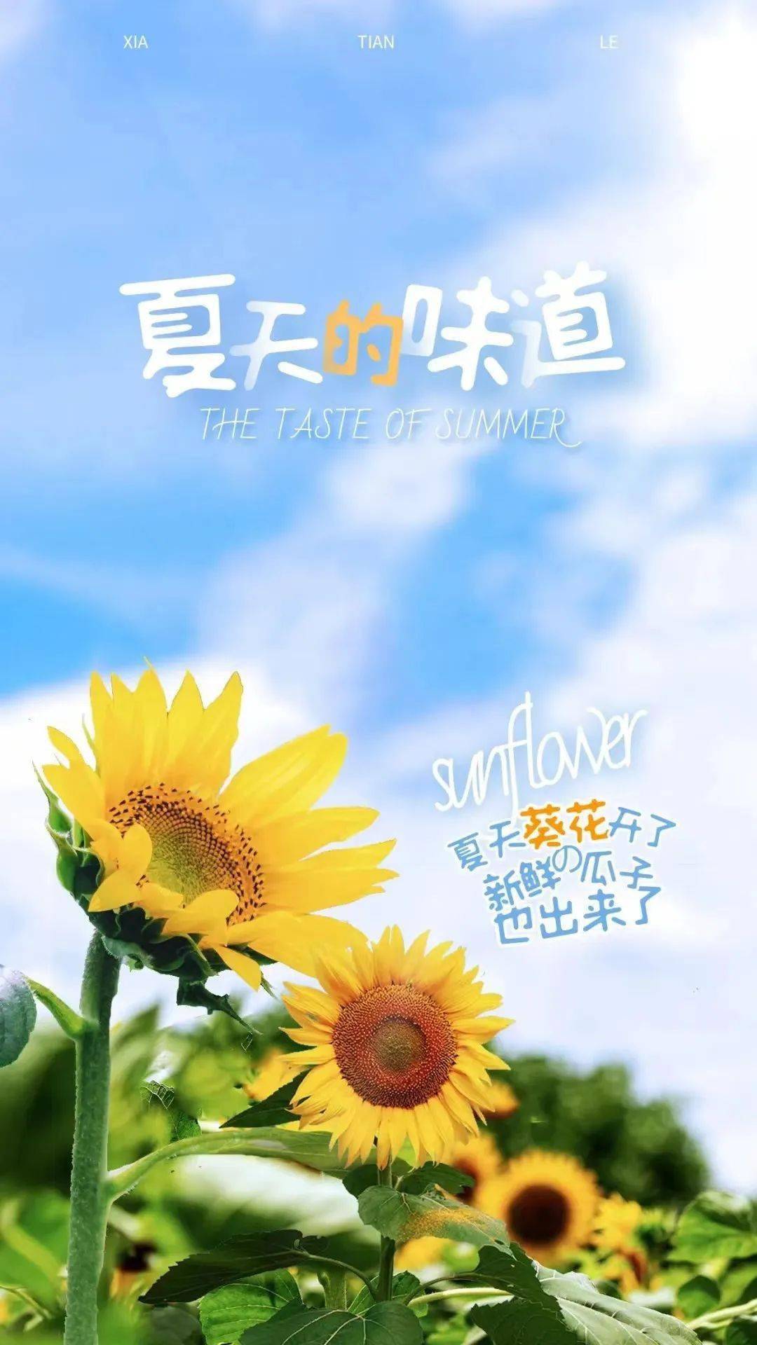 五月你好 | 不负时光,约会美好_夏天_xia_郭玉萍