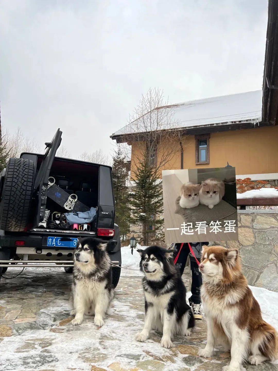 潜伏在伪装富少组织里发现他们花13块骗女孩千里送炮