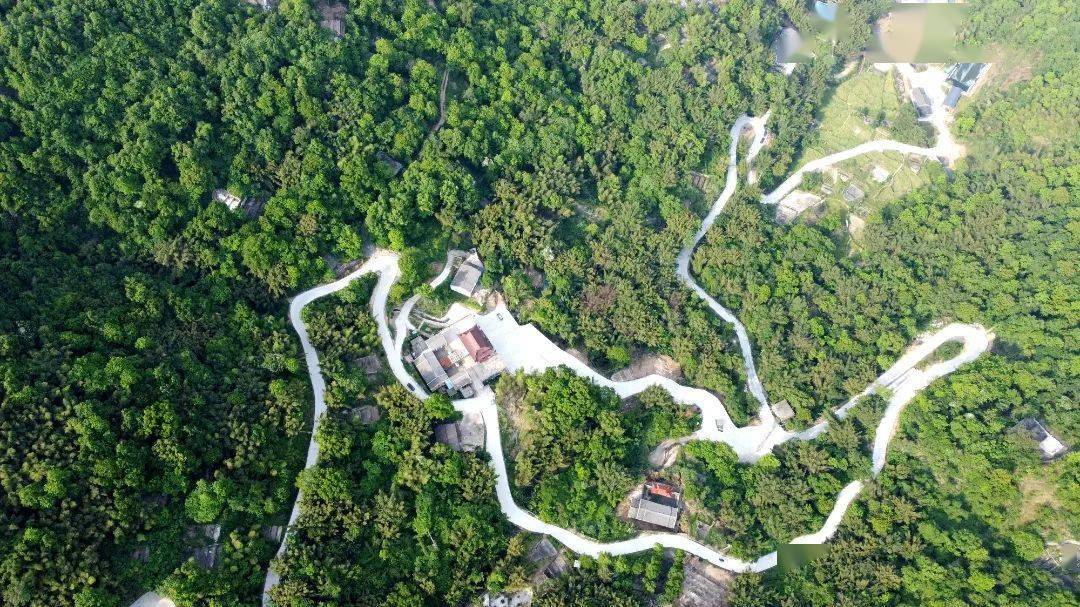 平陽這個村的大草坪成了網紅露營地