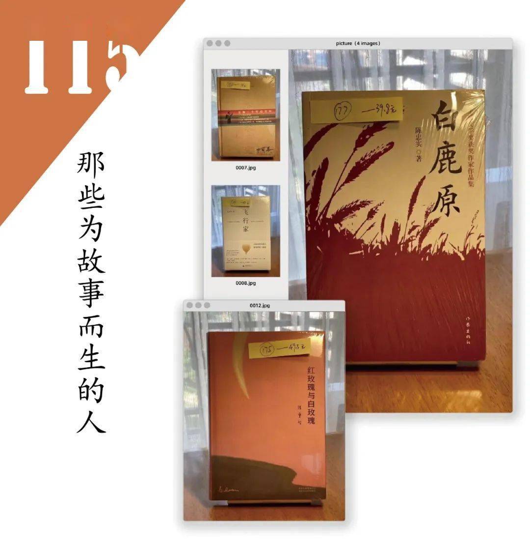 如果没有书店 山中最后的仙女 历史 白鹿原 故事集 如果没有书店 山中最后的仙女 历史 白鹿原 故事集