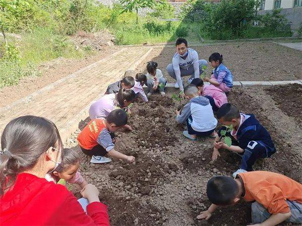 高家鎮晁峪幼兒園植物園種植科普活動紀實