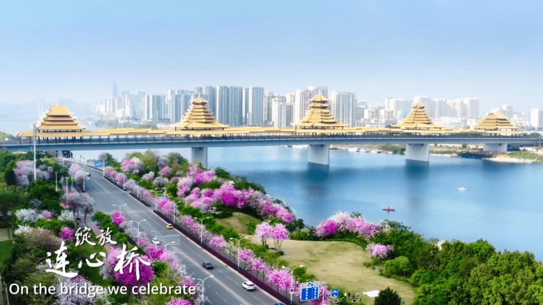 紫气东来荆奇柳州美丽中国壮美广西的龙城画卷