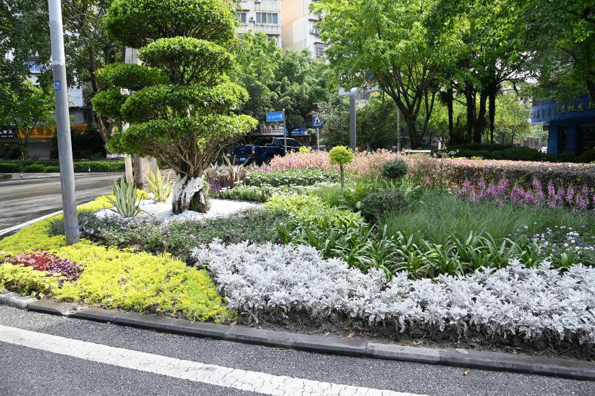 荣昌街头再添4处高颜值花境!可能就在你家门口哟~_城市_绿地_景观
