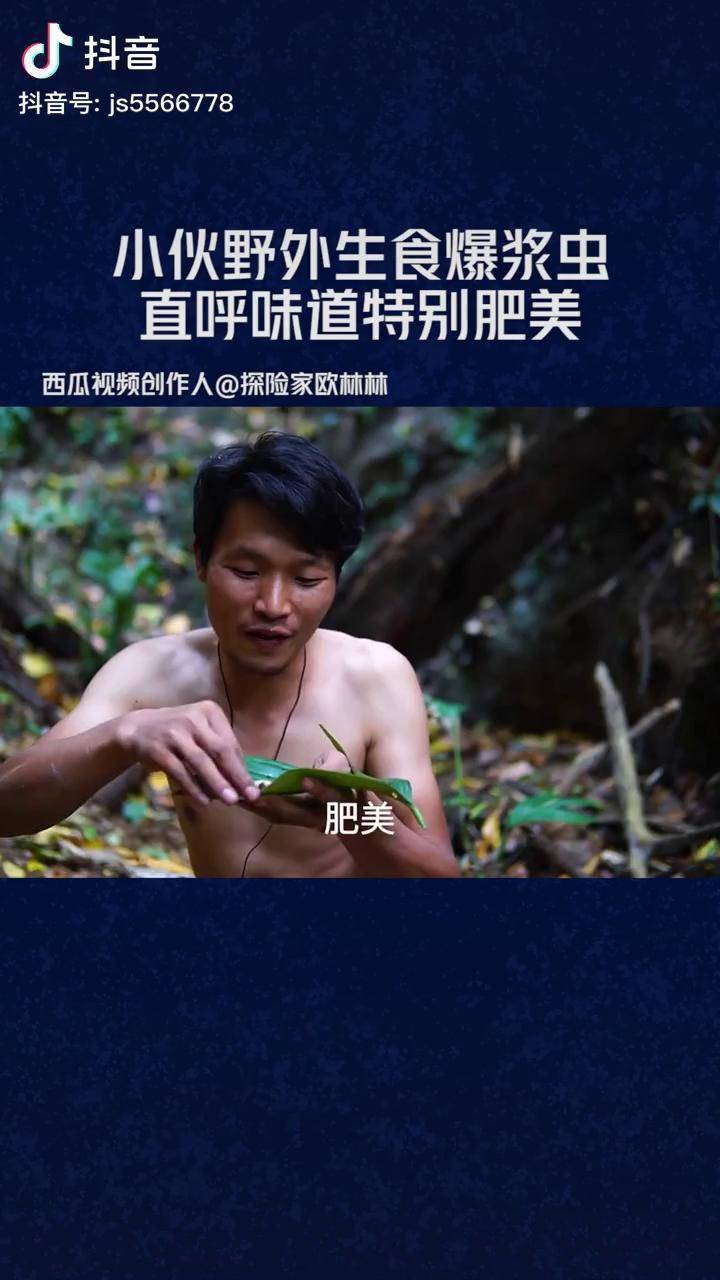 视频来源西瓜创作人探险家欧林林小伙探险生食爆浆虫直呼肥美爆浆虫