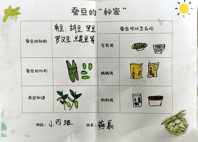幼儿园豆子调查表图片