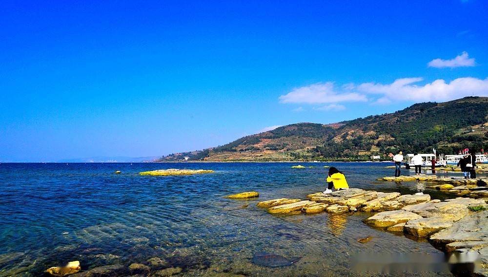 澄江仙湖湾湿地公园图片