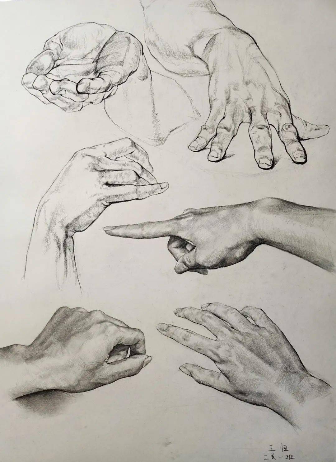 西安美术学院学生素描精选