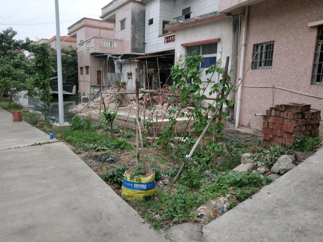 村居动态西冲社区荣获中山市绿色社区称号