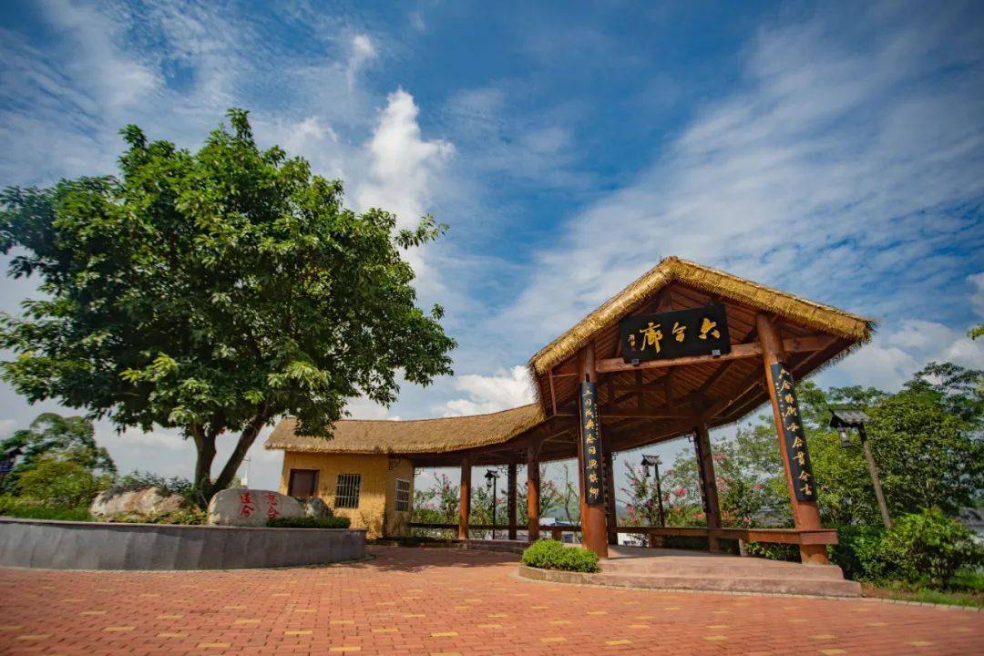 晒文化晒旅游金山镇三大作品今晚正式上线