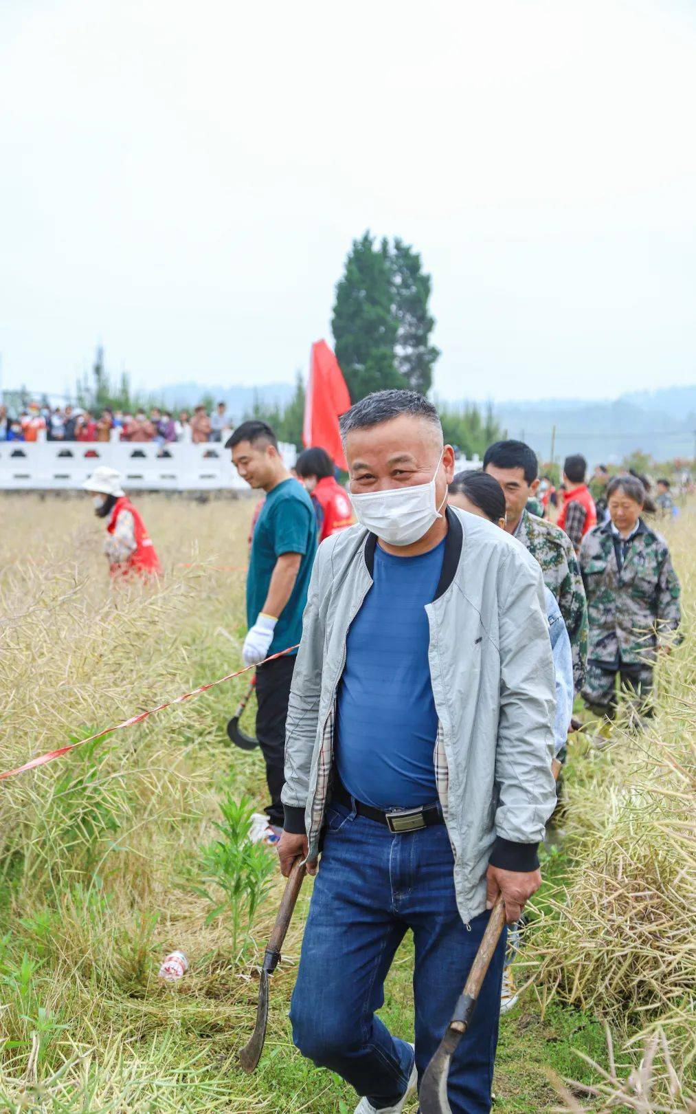 涇縣這群人在田裡忙得熱火朝天,現場歡聲笑語…_活動_茂林鎮_農村