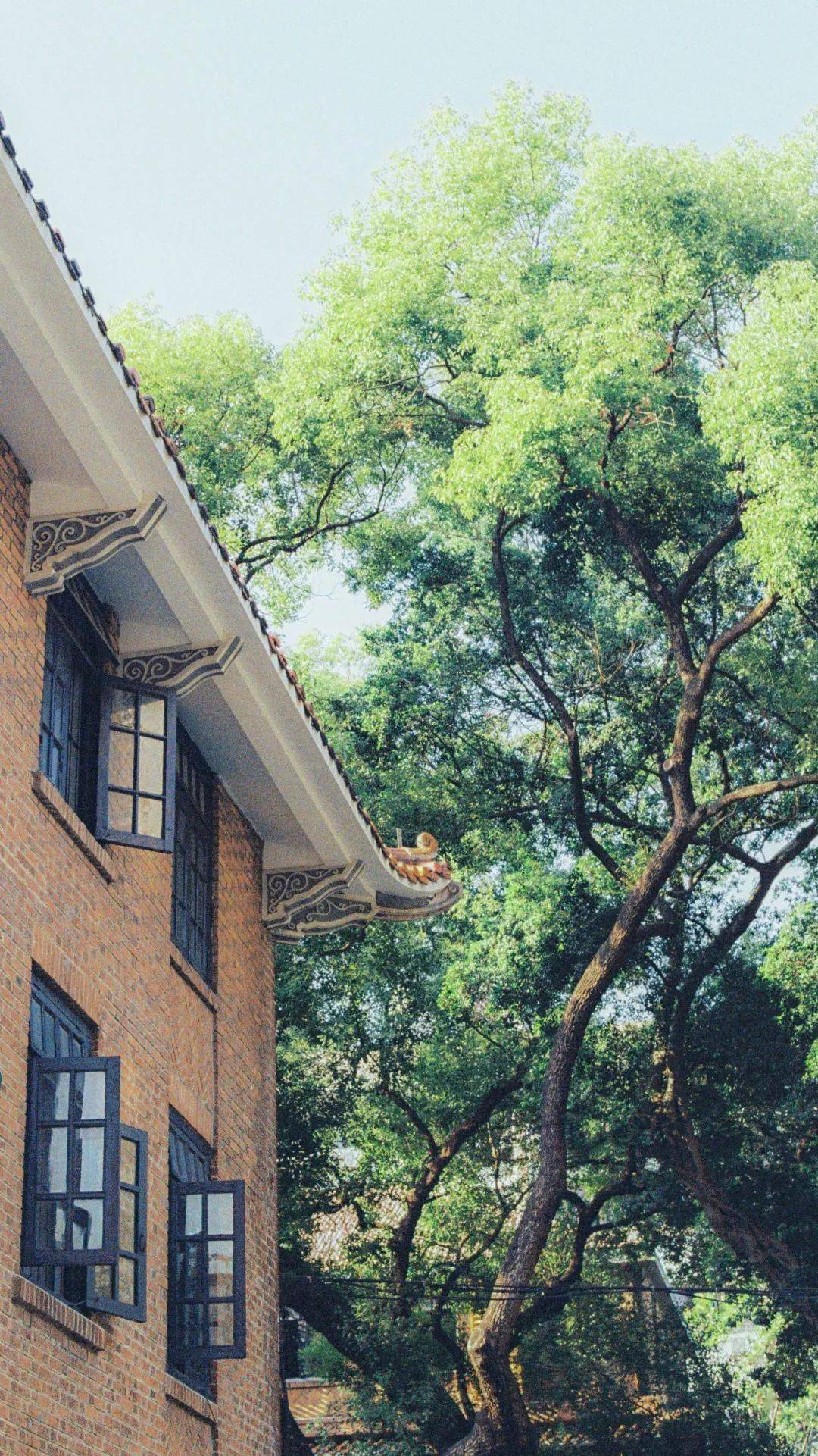 中大版夏日壁纸来了