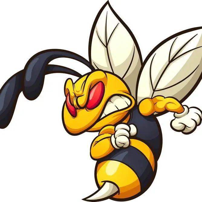 马蜂_环境_皮肤