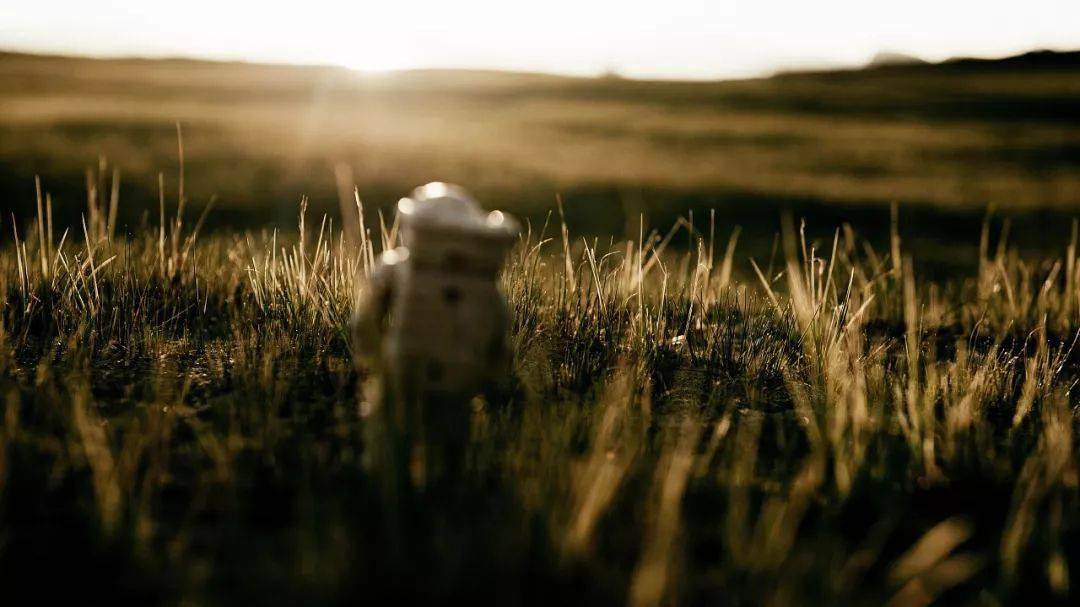 人，终有一死！（精辟）